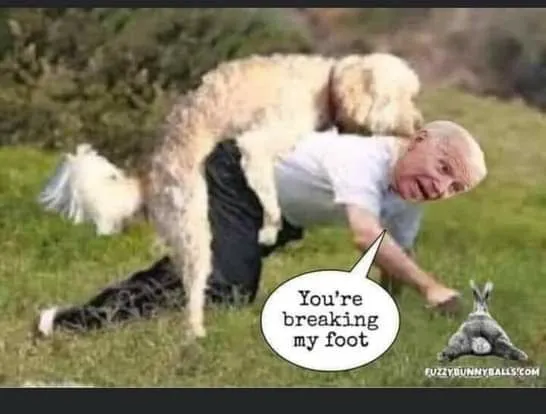 biden-dog.webp