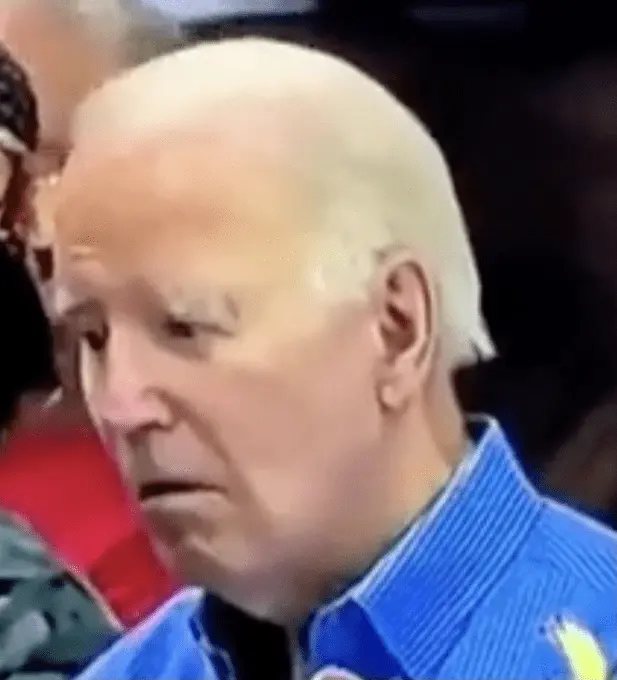 biden dumber than fuck face.png