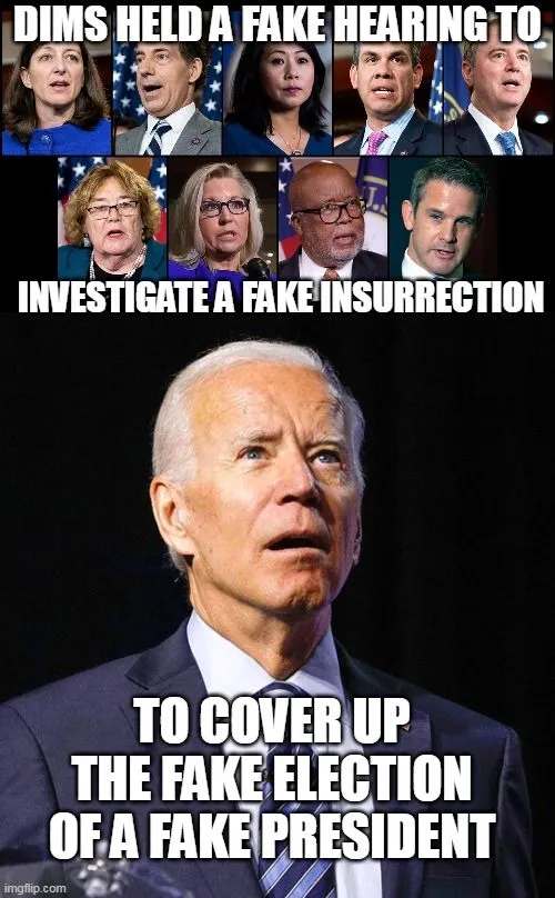 biden fake election 33.webp
