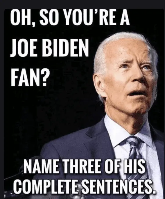 biden fan.webp