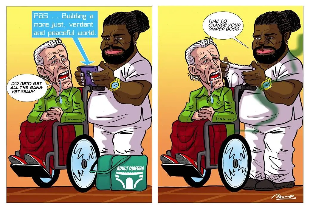 Biden gun strip LR.webp