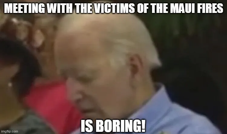 biden hawaii fuckup 99382.webp