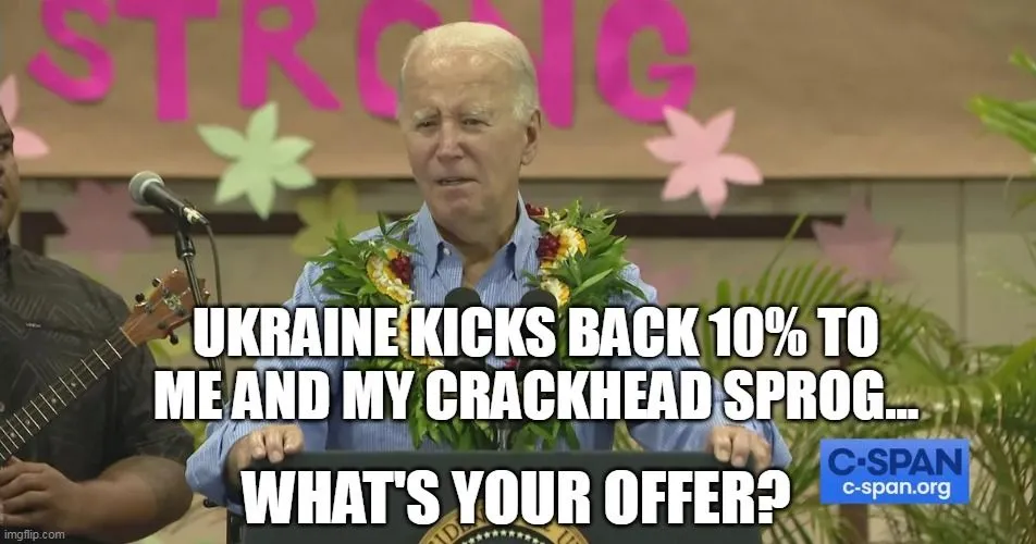biden hawaii offer.webp