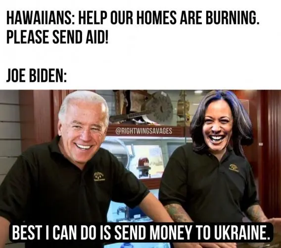 biden help.webp