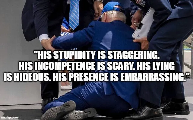 biden his stupidity.webp
