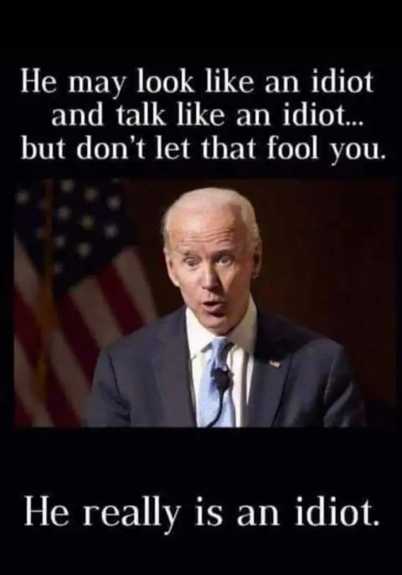 biden idiot for real.webp