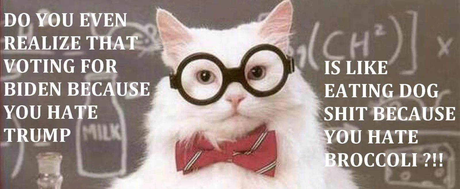 Biden is dog shit.webp