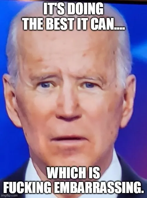 biden its doing the best it can.webp