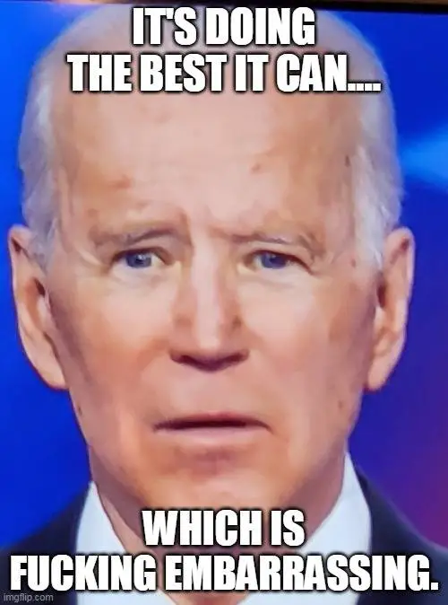 biden its doing the best it can.webp