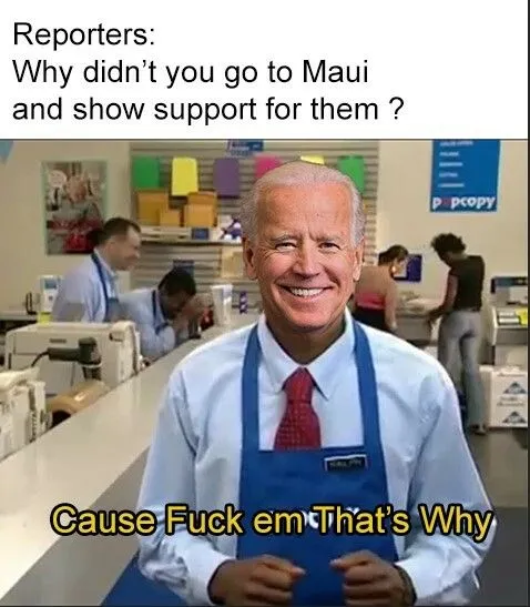 biden maui **** em.webp