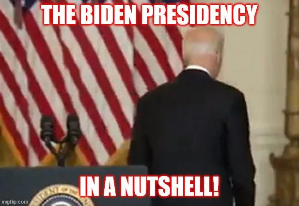 biden nutshell.webp