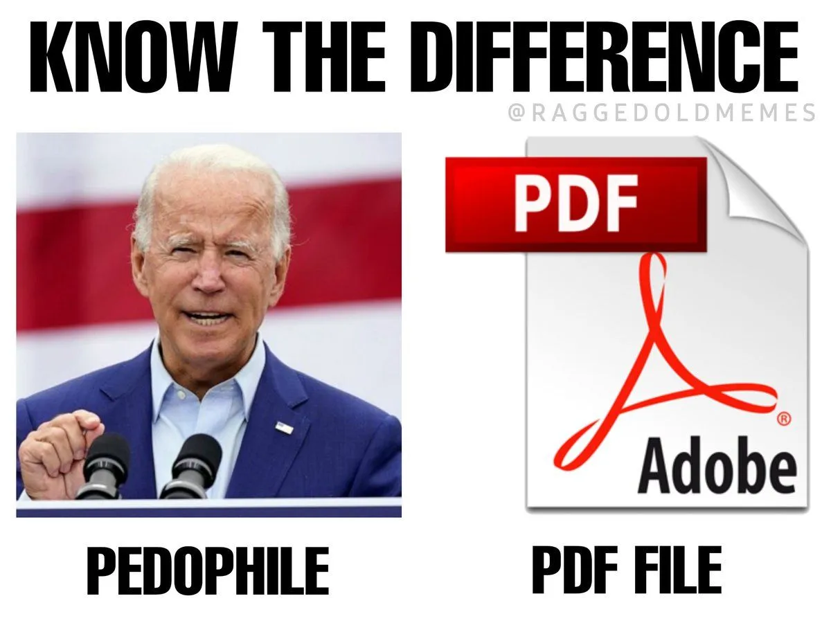 biden pdf.webp