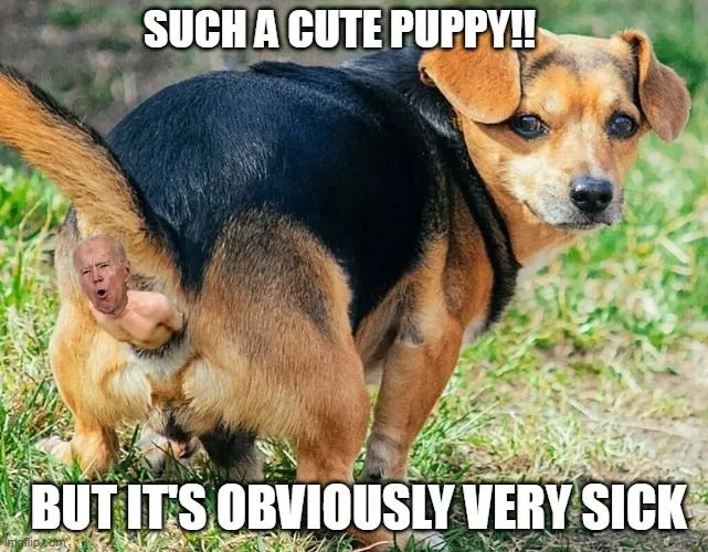 biden puppy shit.webp