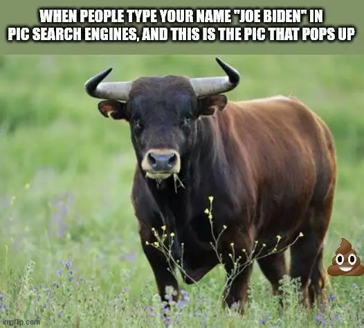 Biden Search Pic.webp