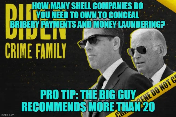 biden shell companies.webp