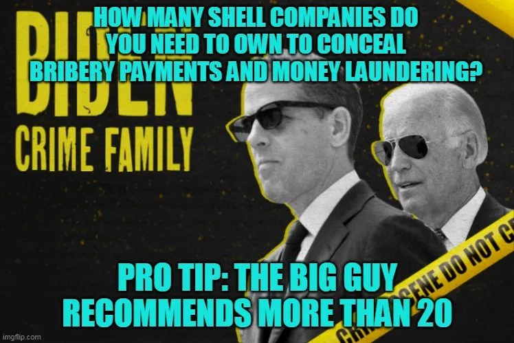 biden shell companies.webp