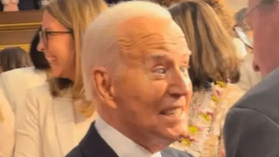 biden stimulants.webp