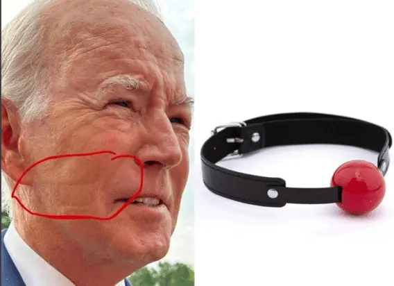 biden strap-on.webp