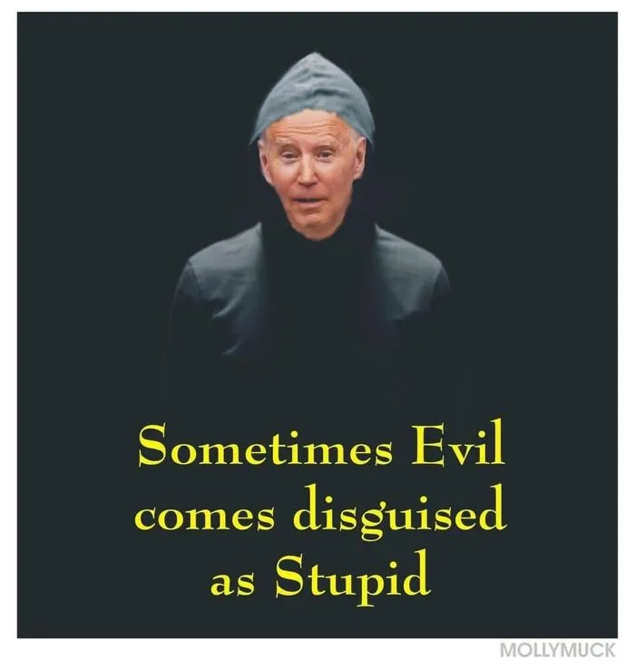 biden stupid.webp