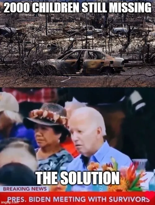 biden the solution.webp