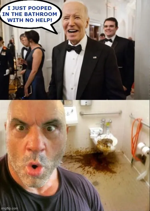 biden used the bathroom with no help.webp
