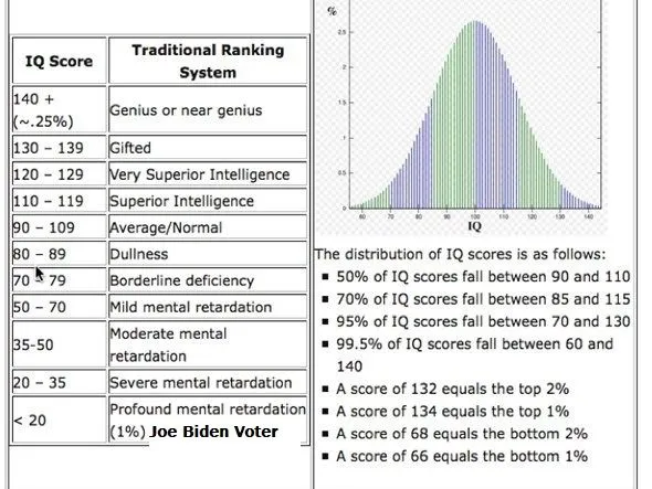 Biden voter.webp