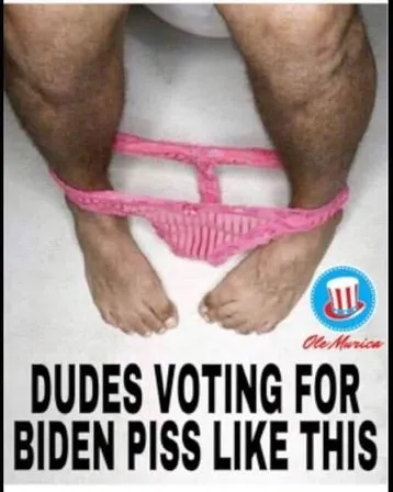 biden voterd.webp