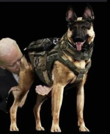 Biden3.webp