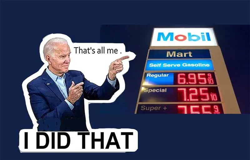 Biden_I_Did_That.jpg