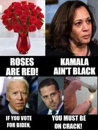 bidencrackheadpossfskjfskfhhfshhkhf.webp