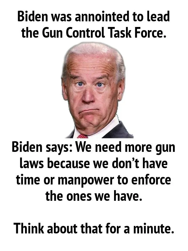 bidendumbfhuefcsd.webp