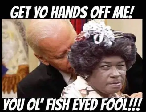 bidenfisheyedfooooo.webp