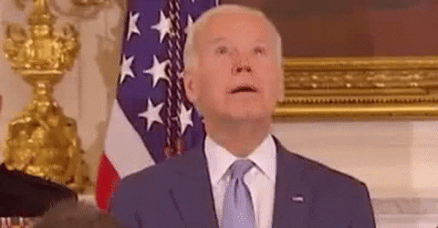 bidenhalluc.gif