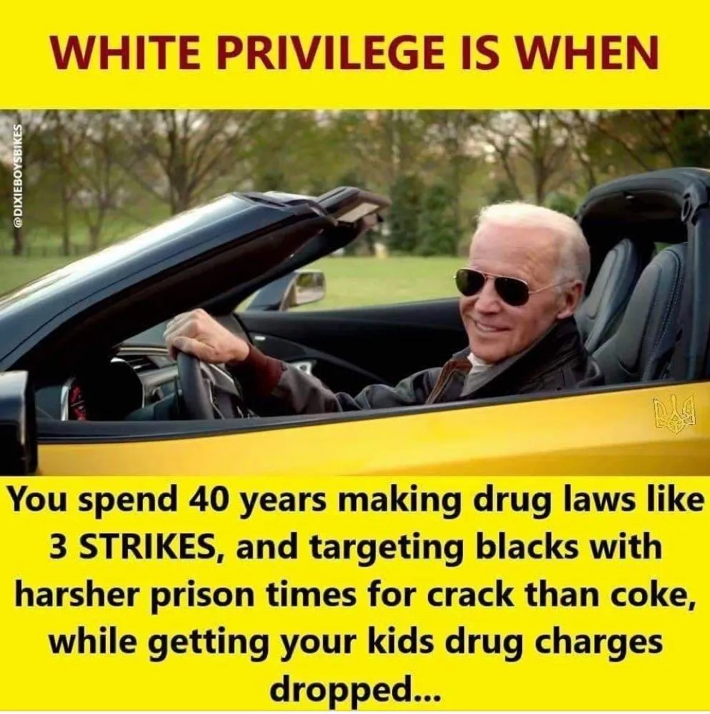 BidenPrivilege.webp