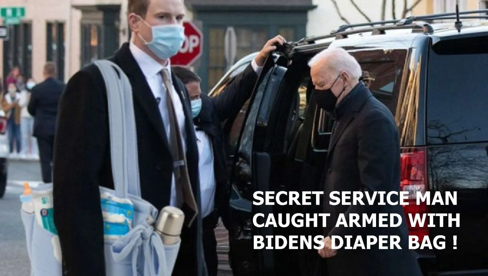 Bidens Diaper Bag.webp