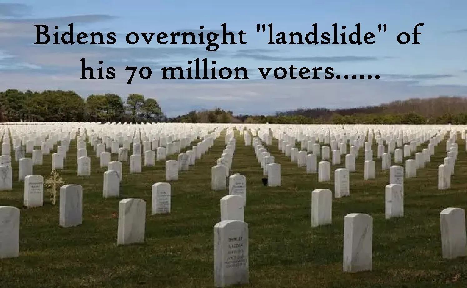 Bidens landslide voters.webp