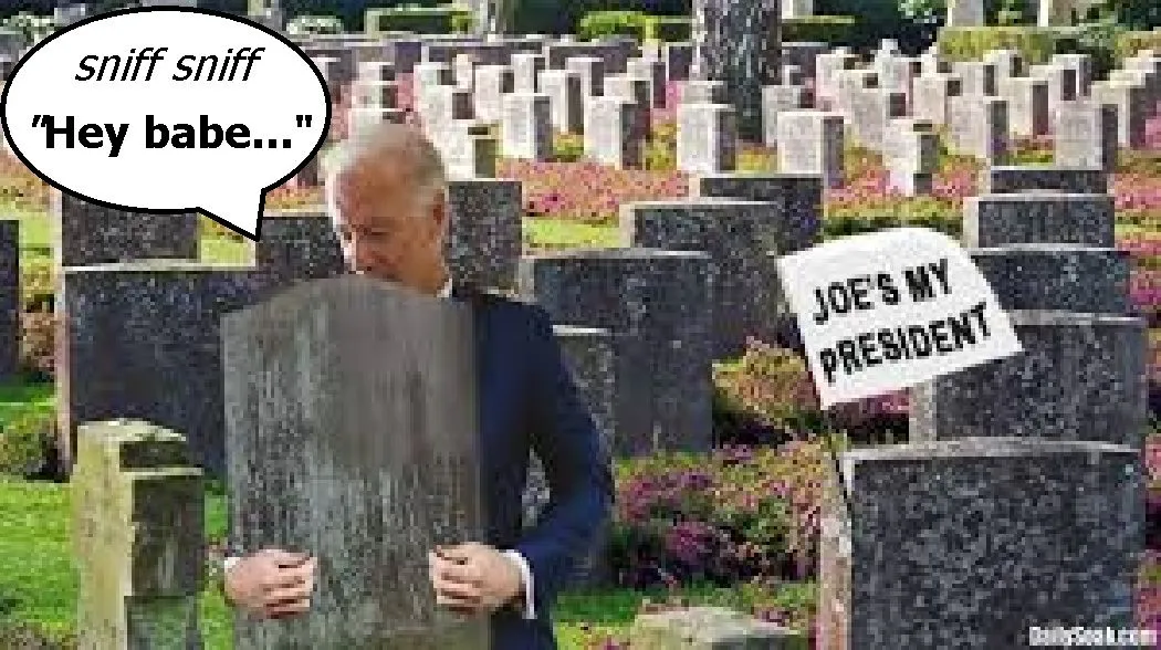 Bidens voters.webp