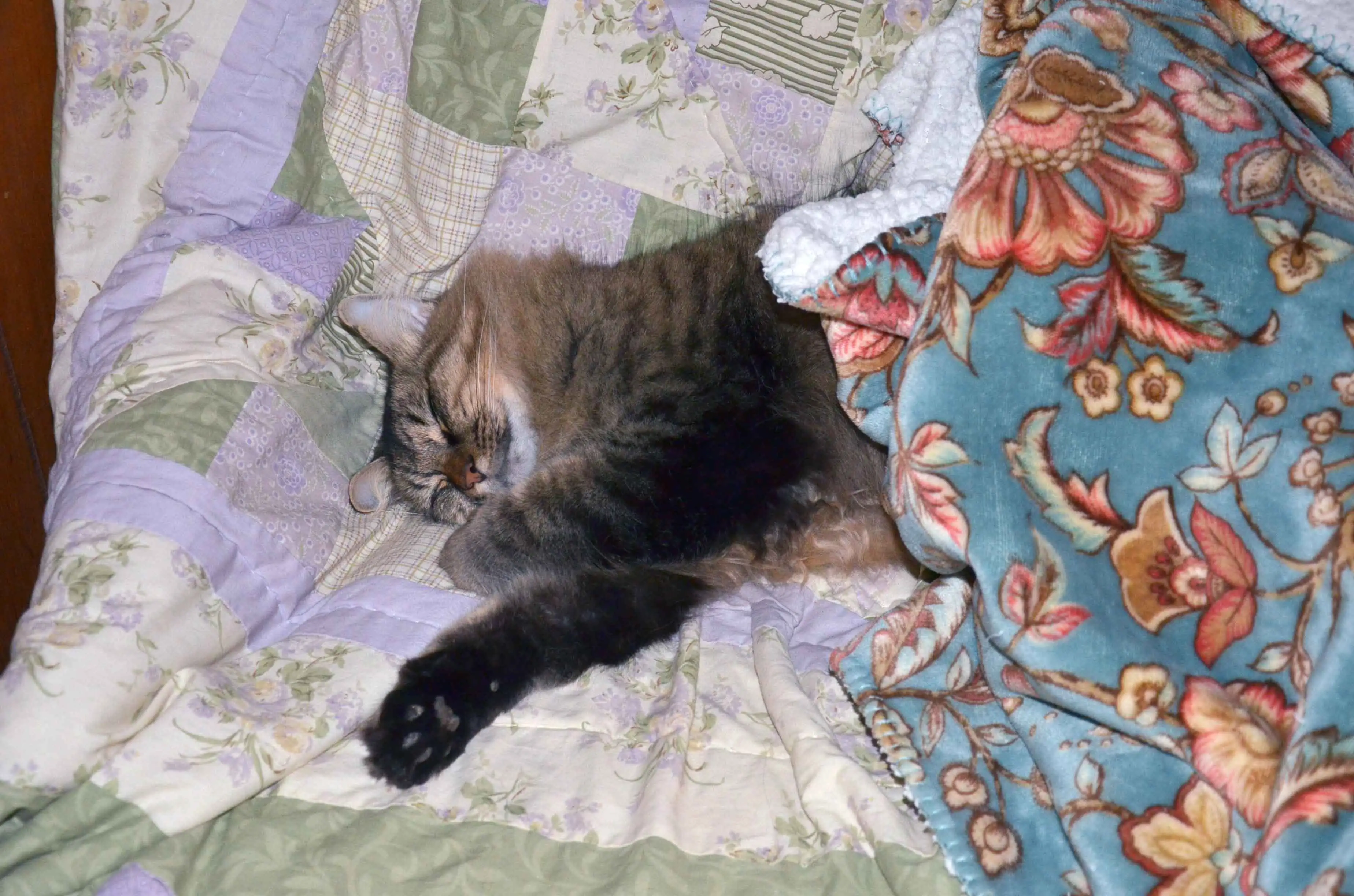 big-boy1.webp