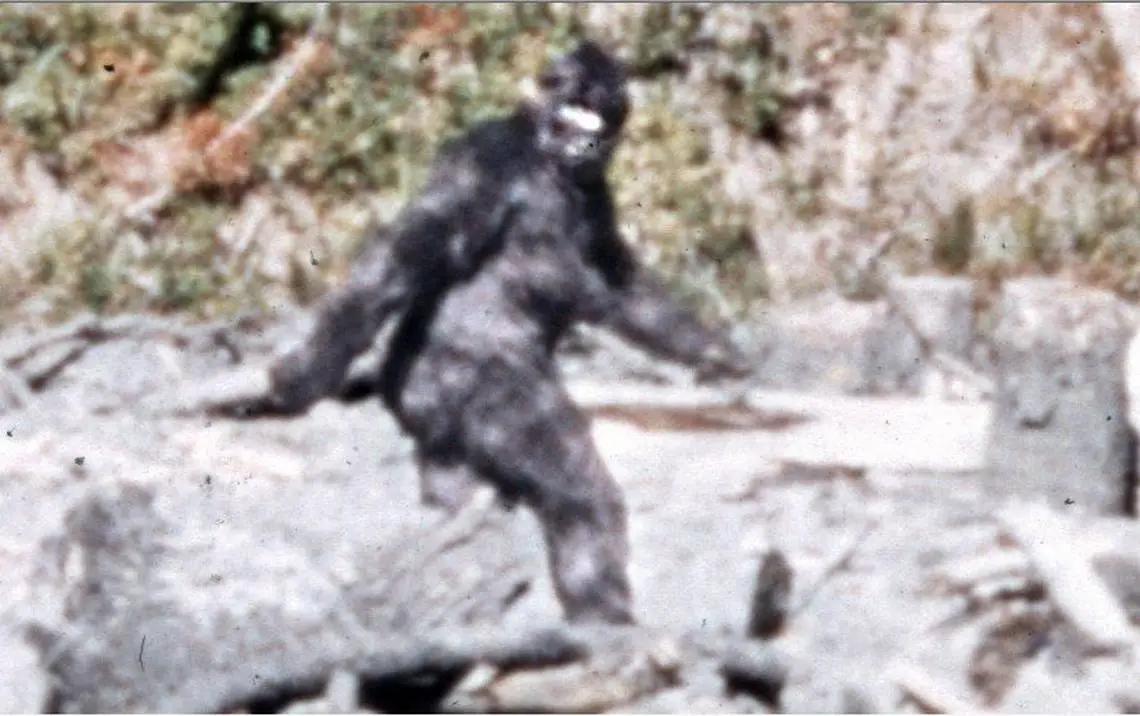 bigfoot1.webp