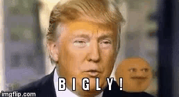 bigly single.gif
