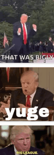 bigly trump.gif