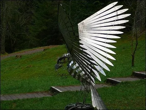 birds.webp