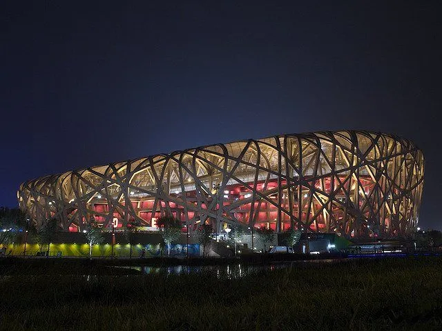 Birds_Nest_at_Night.webp