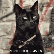 black-cat-zero-*****-given[1].gif