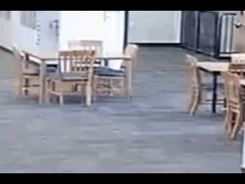 black student attack 1.49mb.gif