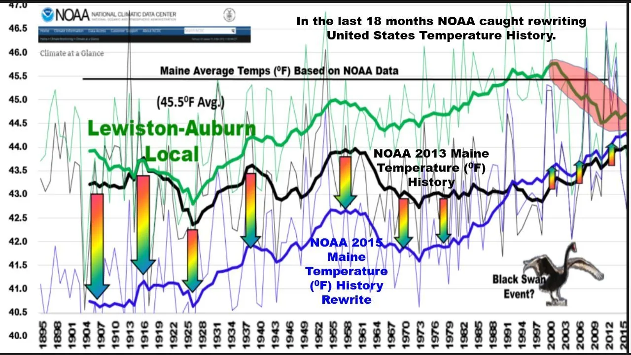 Black Swan Event.webp