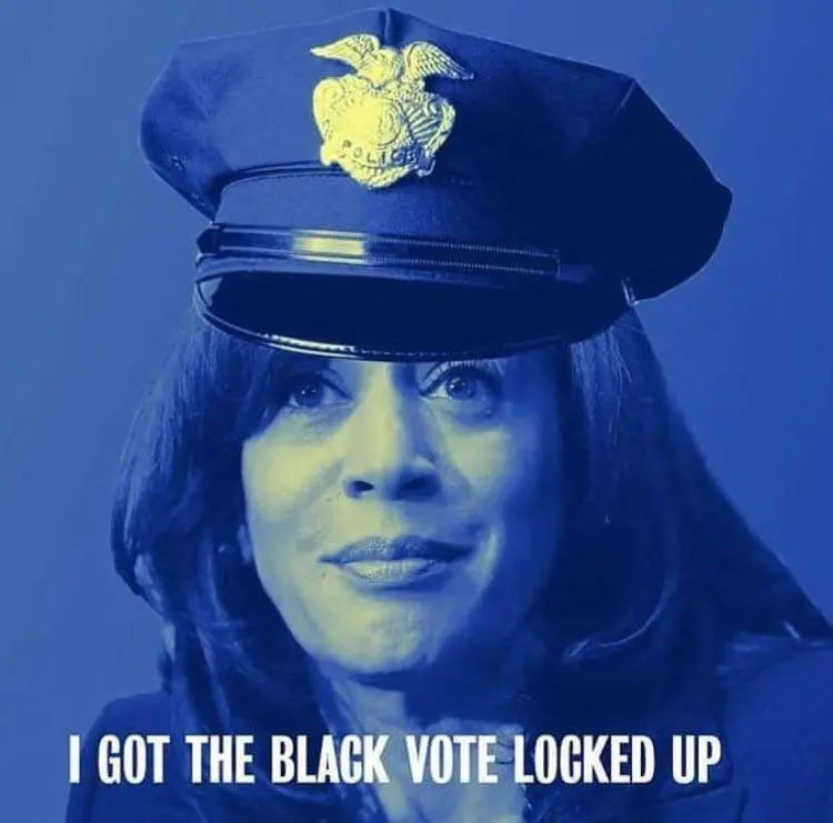 black vote.webp