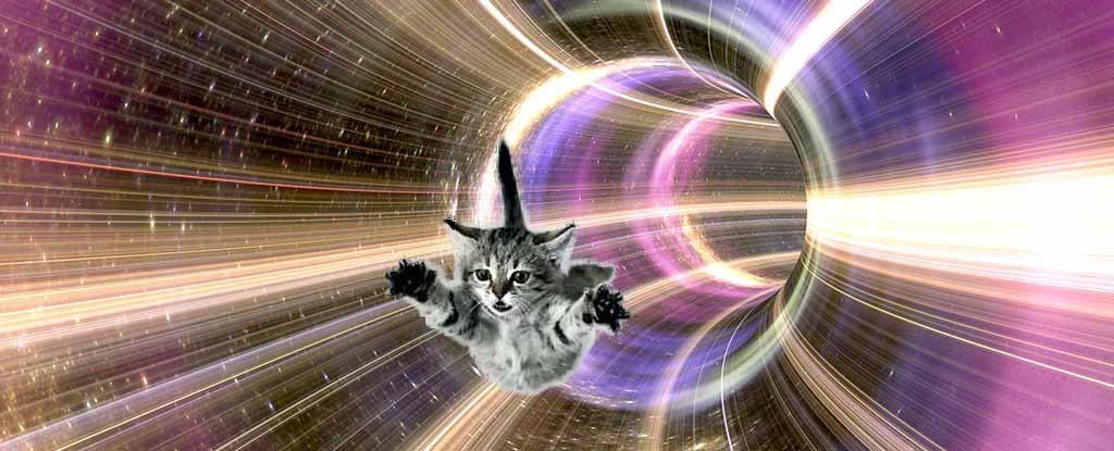 black_hole_horizon_cat.webp
