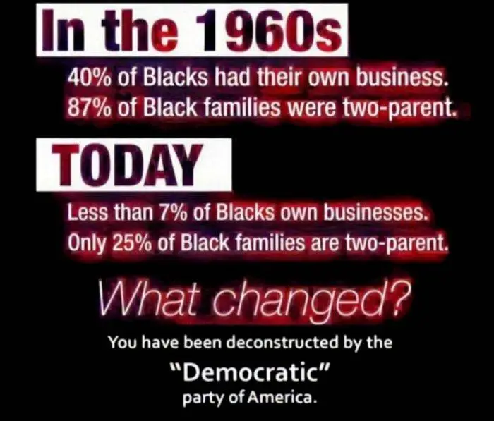 Blacks deconstructed by Dems.webp