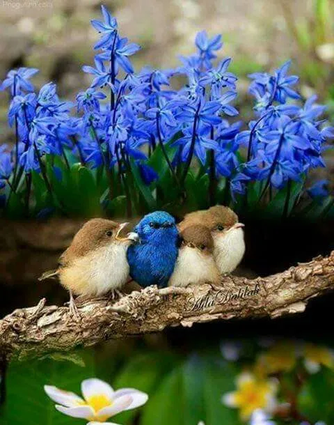 bleu5.webp